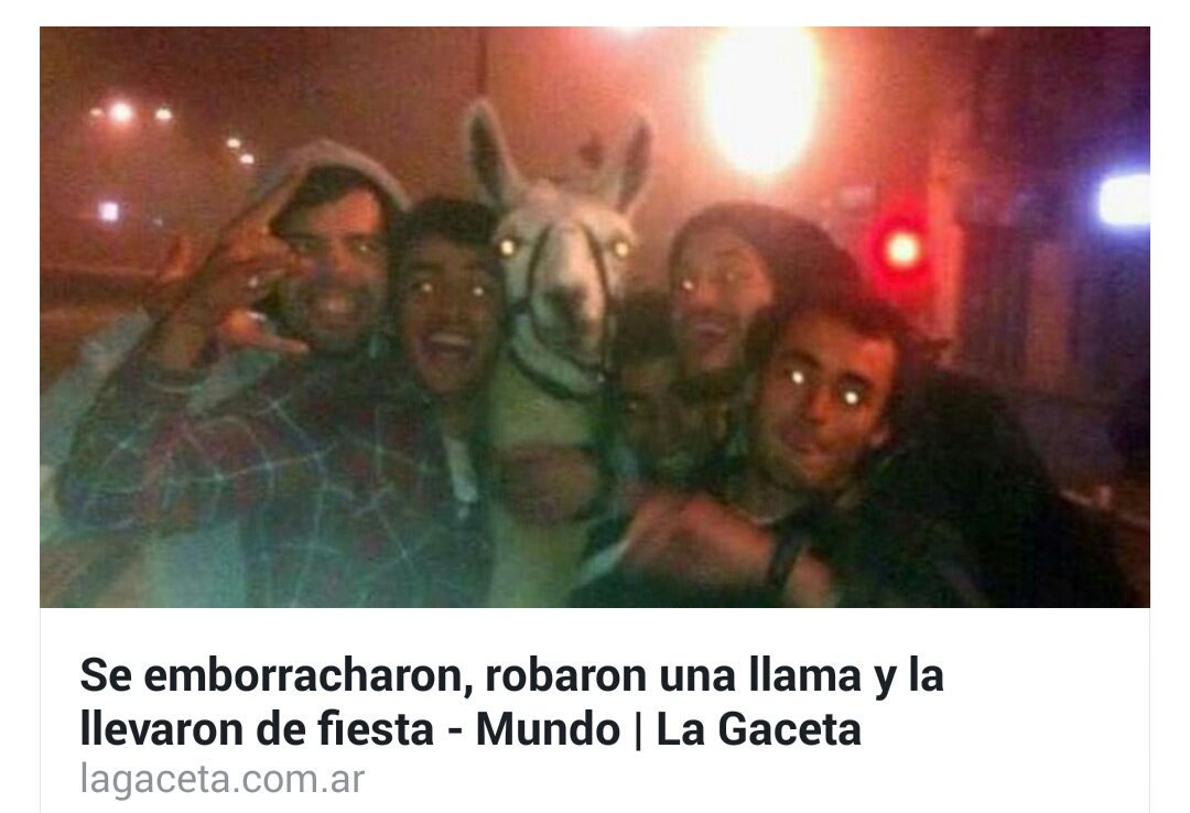 gorrdx's tweet photo. - che salimos no?
- na, siempre lo mismo un embole 
- pero hoy pensábamos hacer algo distinto, dale copate
- más vale eh https://t.co/NGpWdH9efO