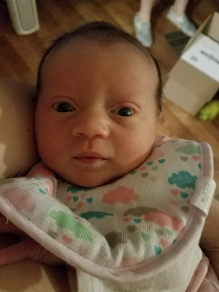 fogle003's tweet photo. Sweet little thing has no idea...
#HaveABlessedLife https://t.co/WXdgB42qOl