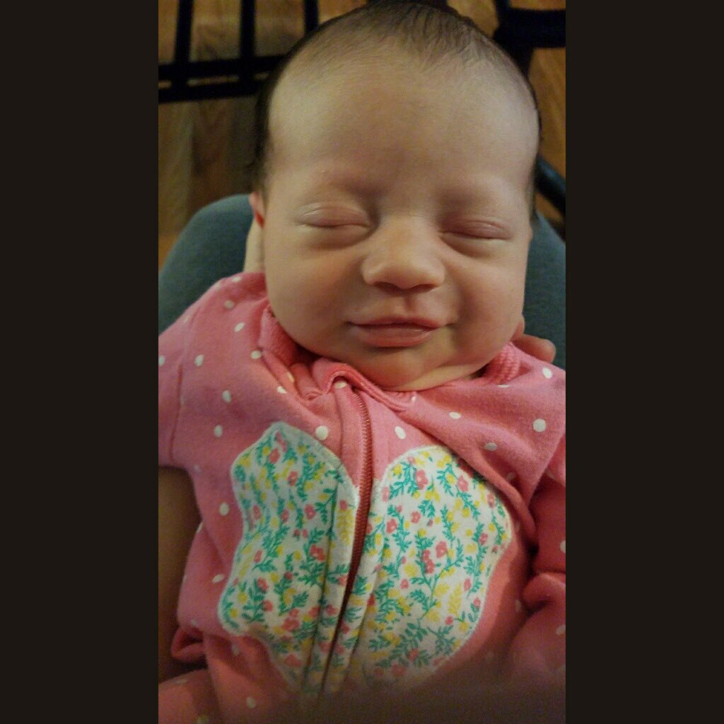 fogle003's tweet photo. Sweet little thing has no idea...
#HaveABlessedLife https://t.co/WXdgB42qOl
