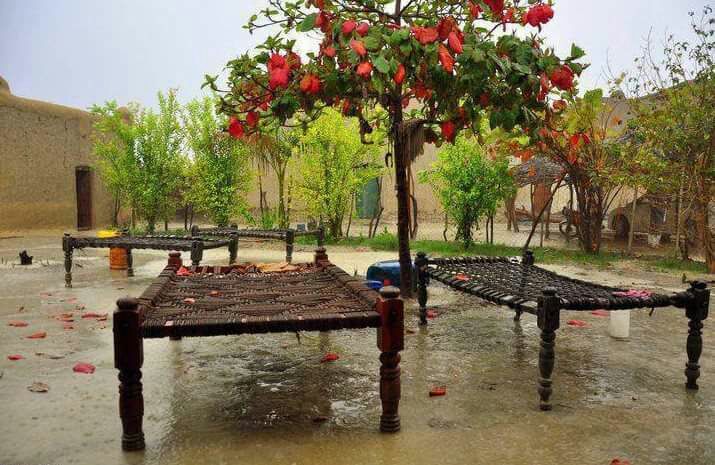 abdulwakeel99's tweet photo. خوښه ستا ده چي په کم شکل مې غواړي
زه خو چالره ازغـــزی چـــــاته بھـــــــار يم https://t.co/cQZZbHvYEK