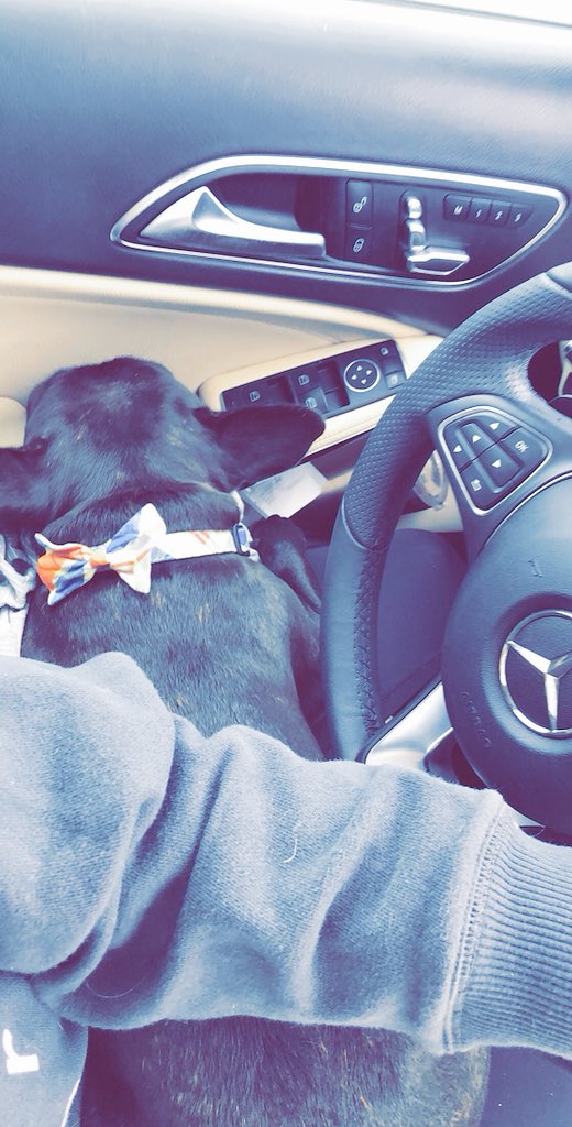 s_heath21's tweet photo. Best car bud around. https://t.co/NE4pI0SQIj