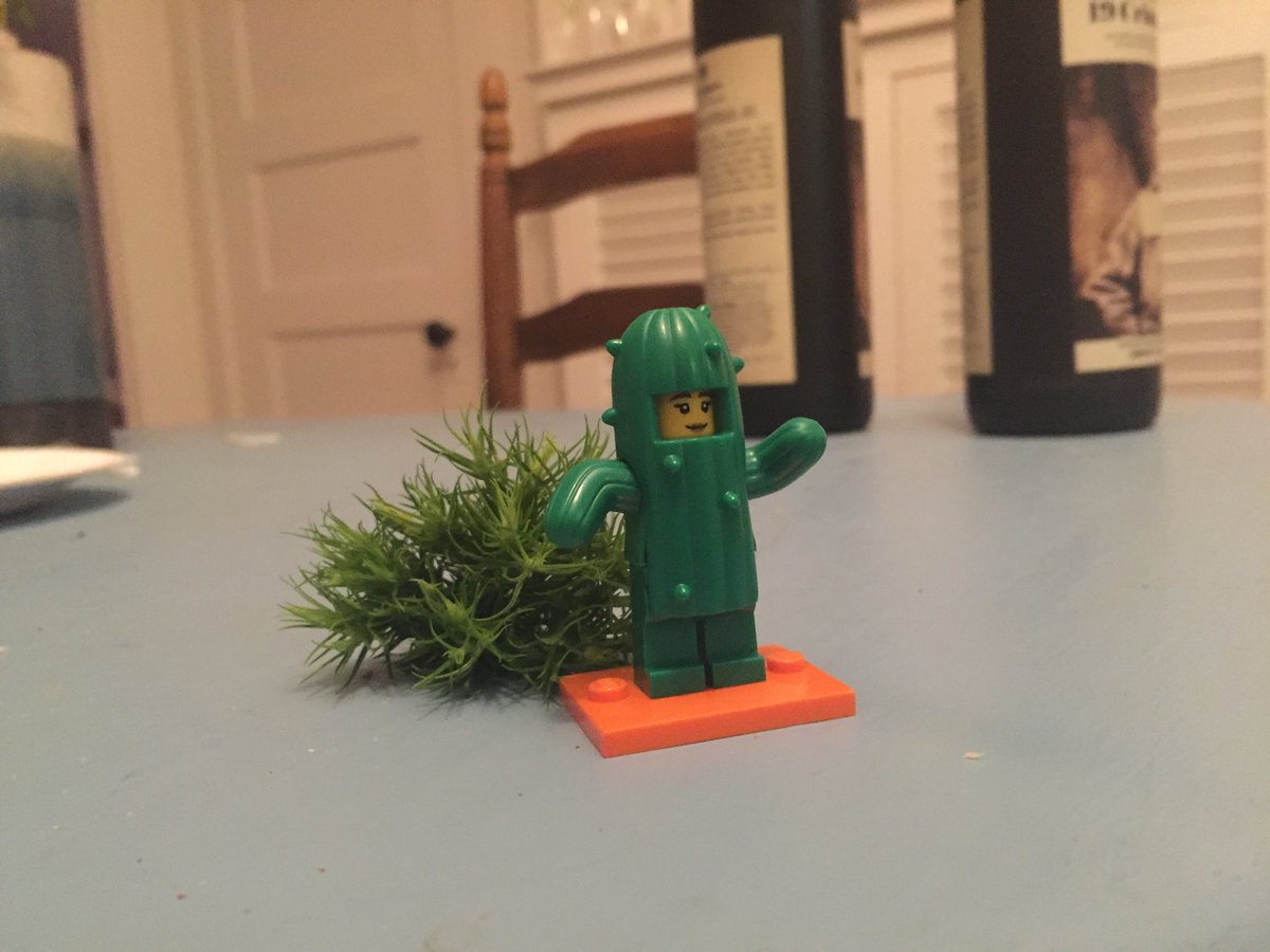 ElizabethHeld's tweet photo. .@Racheldoesstuff we found the sexiest of fashion cactuses. #LoveKernels https://t.co/QtiuX6rY75