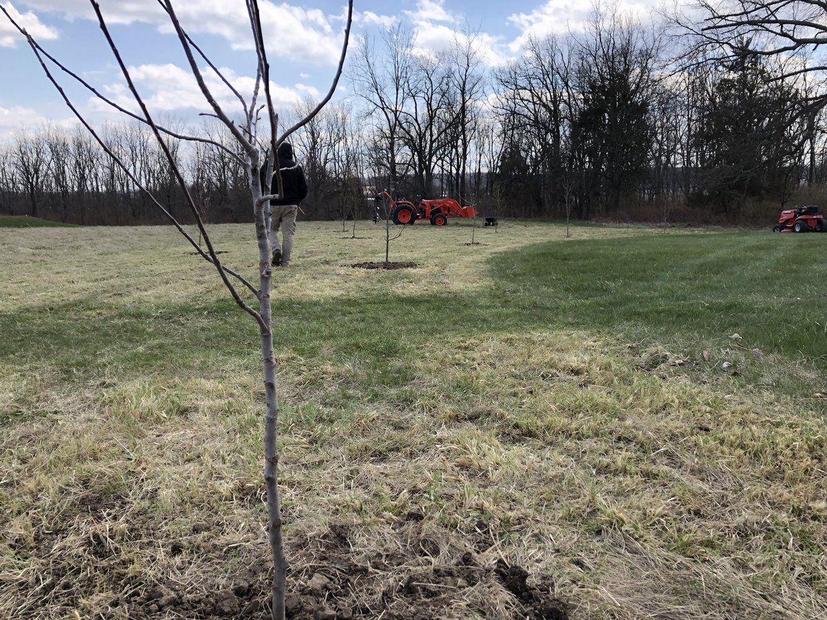 JSKuntz's tweet photo. 10 fruit trees 🍐🍑🍎🍏 planted today, with the help of our trusty tractor and our new auger!!! #kubota #countrylife #homegrown https://t.co/ybKalbkvIF