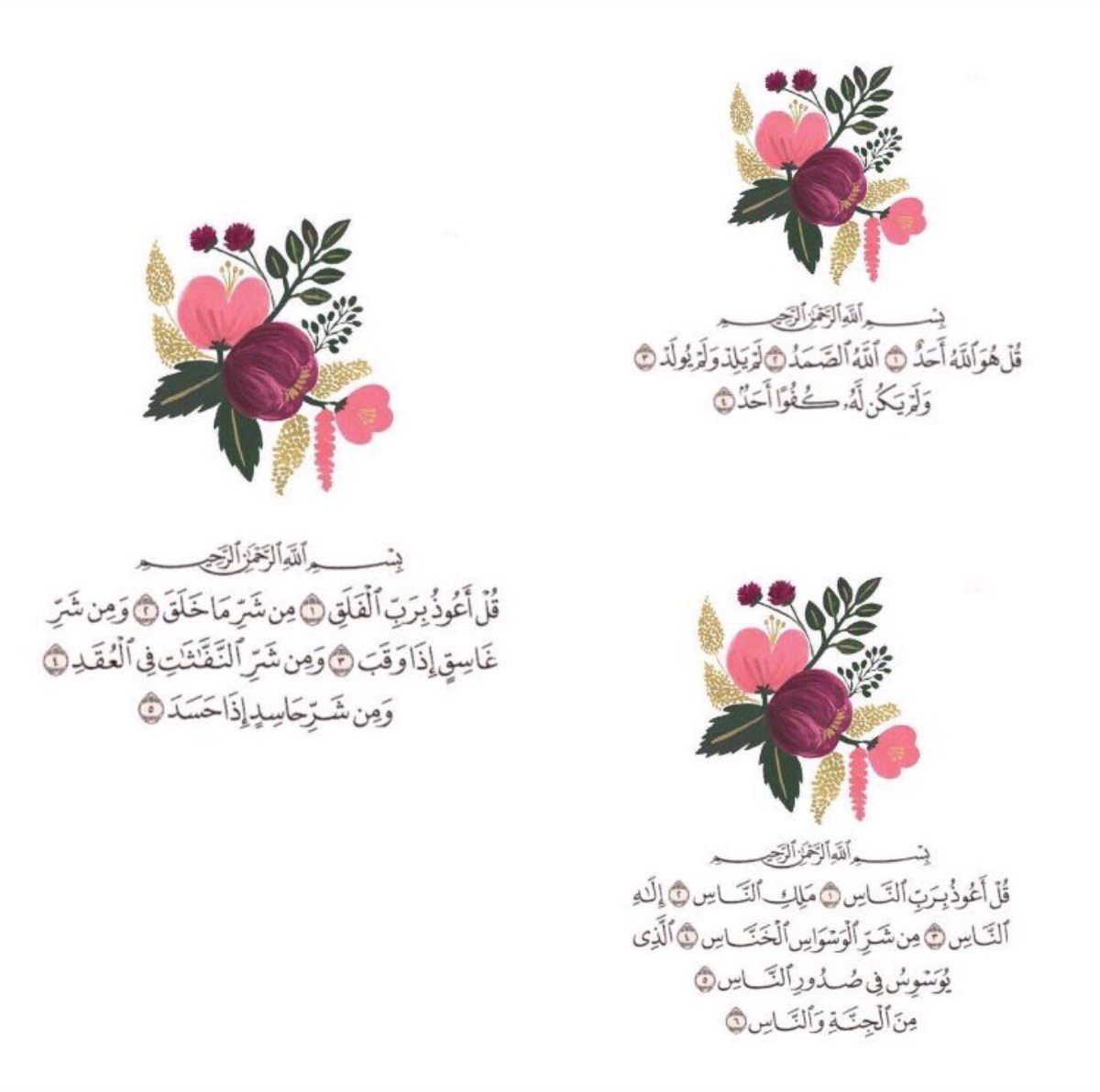 almhrya20's tweet photo. https://t.co/rwBt9mS3Qf