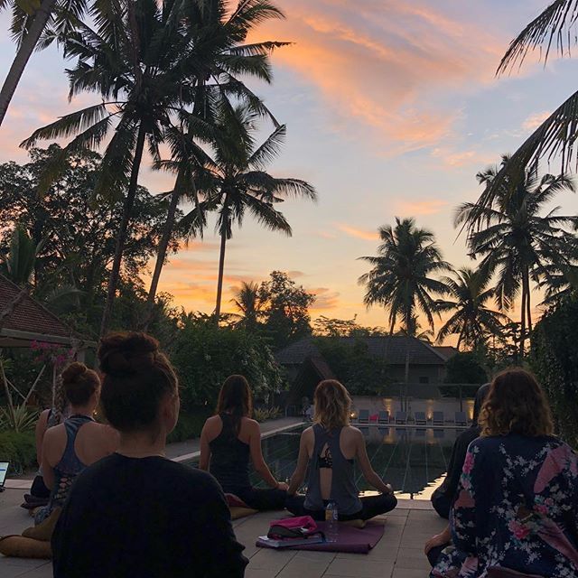 emilyperryyoga's tweet photo. #sunrise #meditation by the pool at @edenestateubud with @inspiredyogagal @alchemyofyoga 
#teachertraining #yogateachertraining #ytt #teachyoga #yogateacher #yogateacherlife  #jointhejourney #godeeper #inspiredpractice #epyoga #emilyperry #yogateacherins… https://t.co/60IkoL94bP https://t.co/UkllCEXFL4