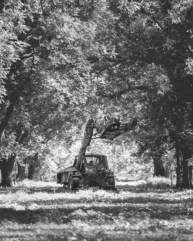 GeorgiaGrown's tweet photo. Did you know that April is #NationalPecanMonth?
.
.
Georgia is the leading pecan producing state and accounts for about one third of U.S. pecan production!
.
.
Where do you get your #GeorgiaGrown pecans?
.
.
π·: #GaAgWeek2018 photo contest submission β¦ https://t.co/Se6s2pabke https://t.co/6W4eR2Ky4w