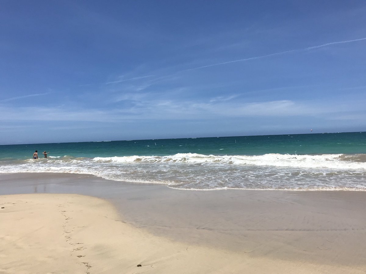 svcoqui's tweet photo. This is life https://t.co/aaVptwSBXC