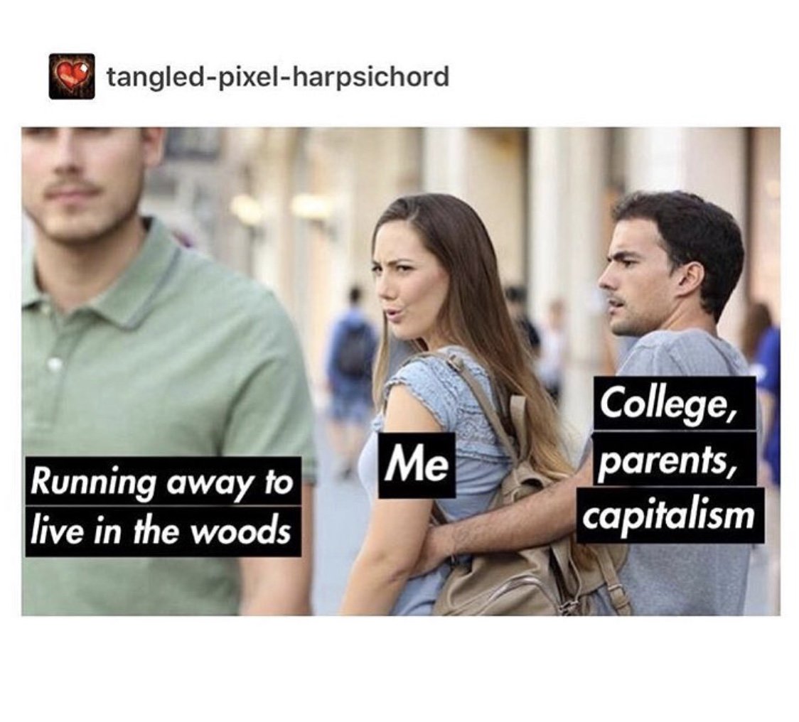 carekucera's tweet photo. MOOD https://t.co/HM5qhQ77IW