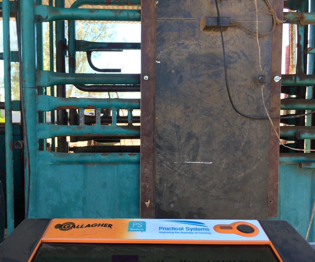 Finally trialing the Stockbook live ✔️ Success! Certainly made our job much easier, no more long hours in the office entering the data ⌨️🖥