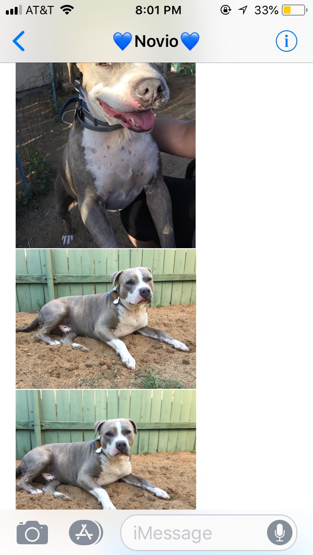 cici23dance's tweet photo. Get you a person who sends you pictures of their dog when you are stressed or sad. https://t.co/nlv1SKFh7T