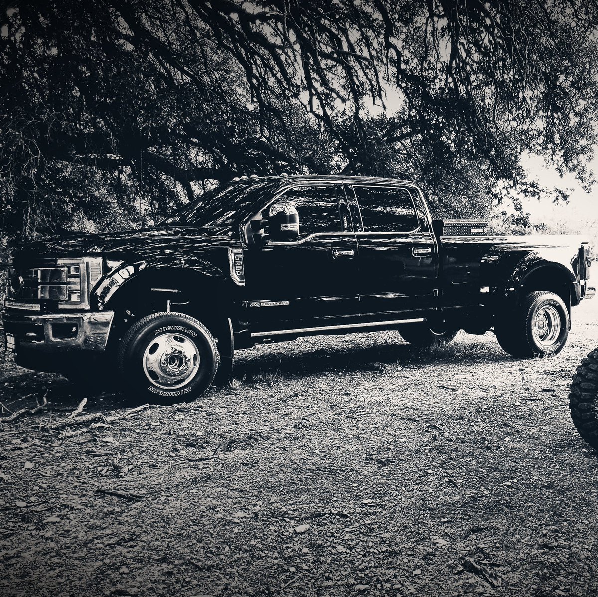 CrocaLyle's tweet image. #NewProfilePic