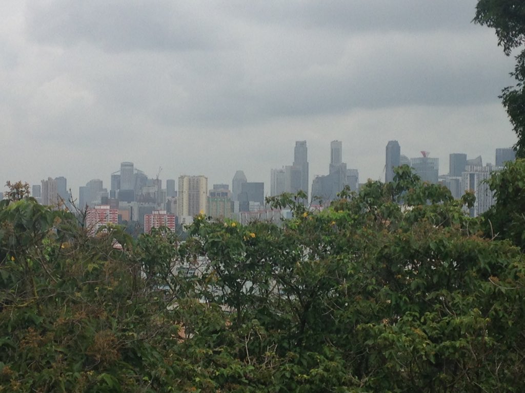 myrtle57's tweet photo. Great views of #Sentosa from #Dusk #SingaporeCableCar at #MtFaber #SingaporeSling @VisitSingapore @Travelfoxuk https://t.co/Ny46bB4S0b