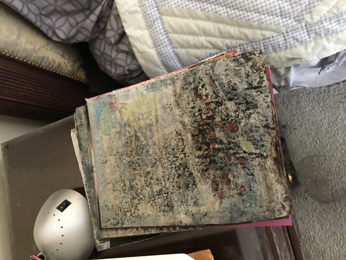 Visible mold...call us 888-355-4232