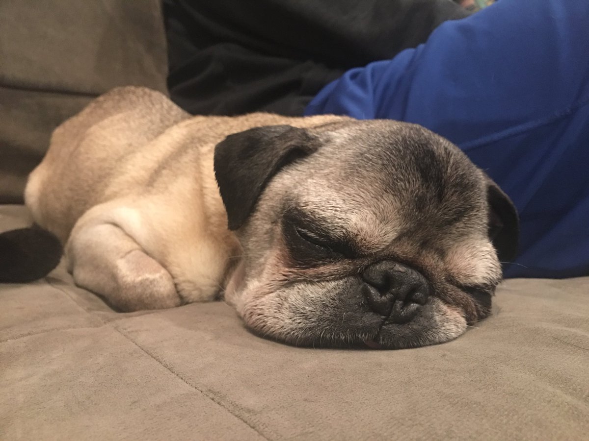 Night night pals. 💕