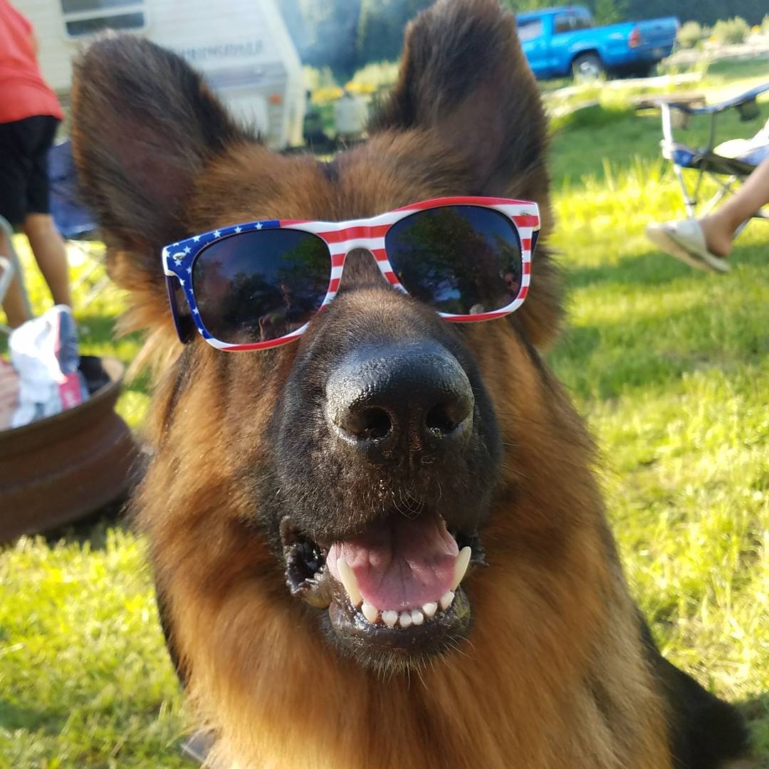 haley_harn's tweet photo. @Coach_M_Moore TITAN❤️❤️❤️ https://t.co/v1Qkh1Oh0K