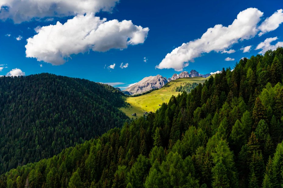 laze_life's tweet photo. #Capture of the day added to https://t.co/PVx4aSk2Ez
#lazelife #Favorites #PhotoOfTheDay #Clouds #Trees #Mountains #Explore #Nature #SimonRae #FassaValley #Italy ❤️ https://t.co/ZuY8gmPEAf
