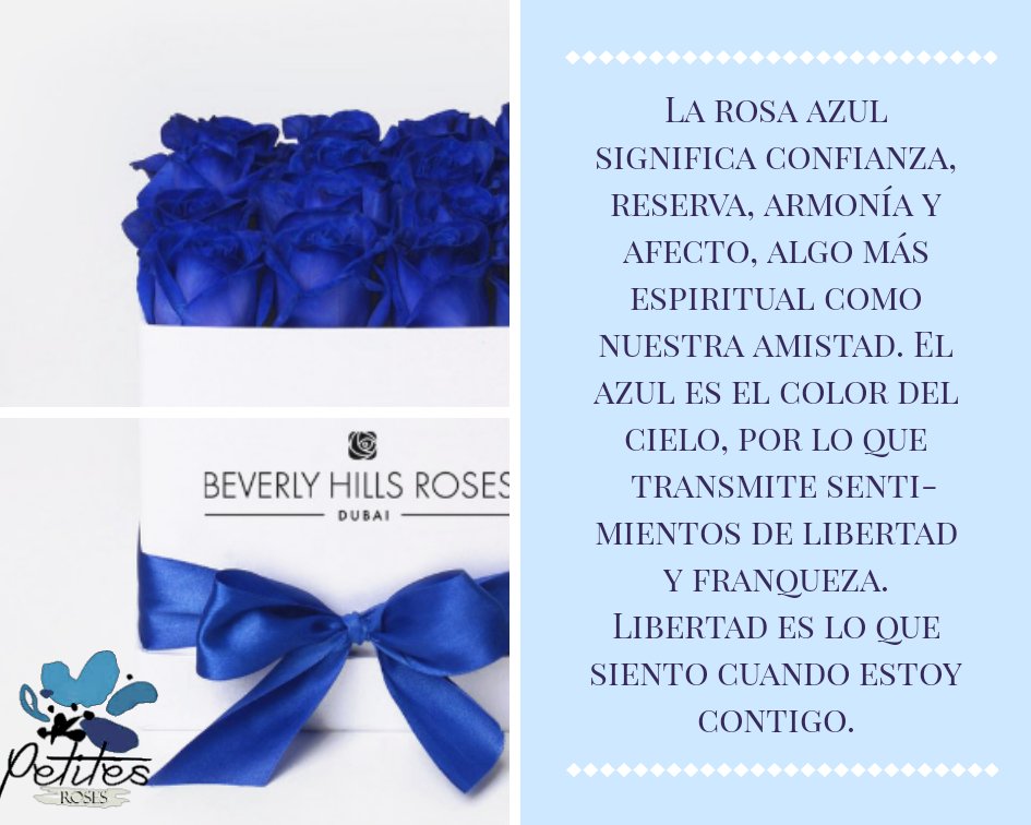 pttsroses's tweet photo. Buenas noches, @stxlr, @notthefrozenguy envía estas rosas azules con mucho cariño para ti, bonita. ¡Esperamos te gusten! https://t.co/bOplqRXePg