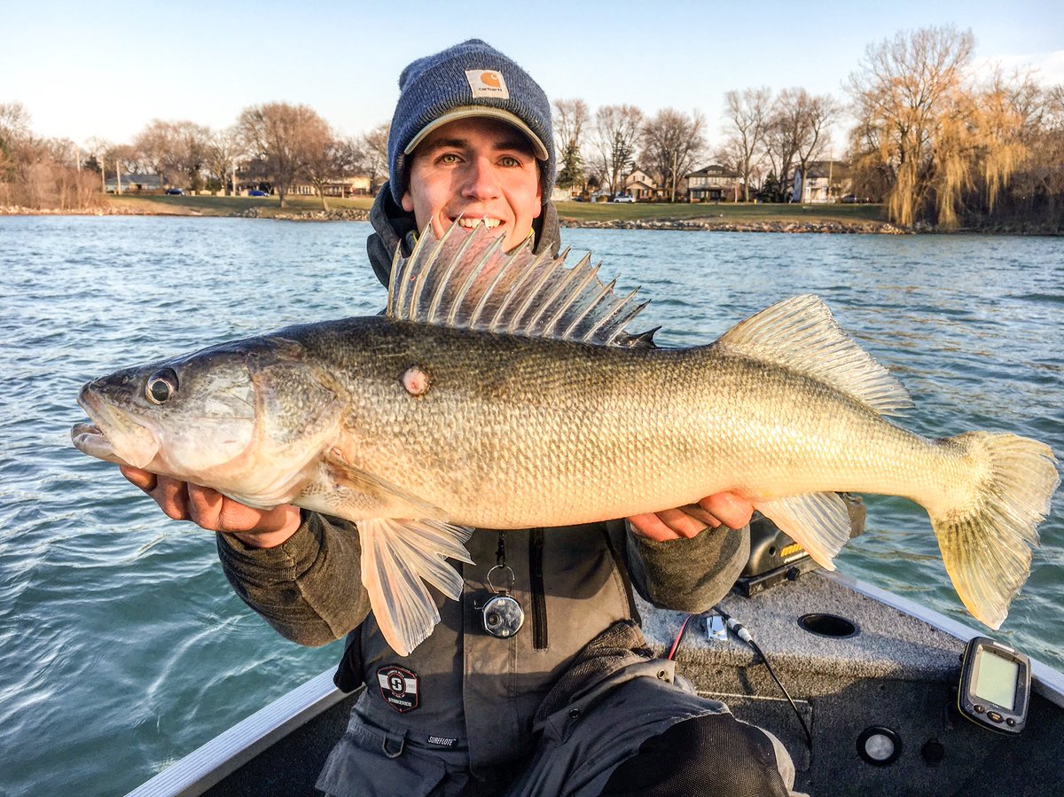 AdlerEvan's tweet photo. Detroit is continuing to be a POWER HOUSE for big walleyes!!!! https://t.co/FH3TyVmdRN