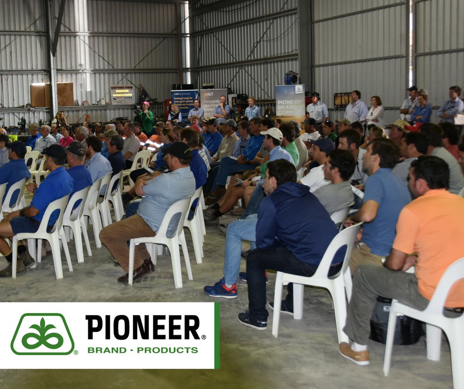 pioneerseedsau's tweet image. Great turn up to the Talloona Field Day at “Beefwood” north of #Moree NSW. If you missed it and want to have a chat with the NSW Pioneer® brand team about what’s new and what’s coming up…here’s their contact details bit.ly/2IukEDc