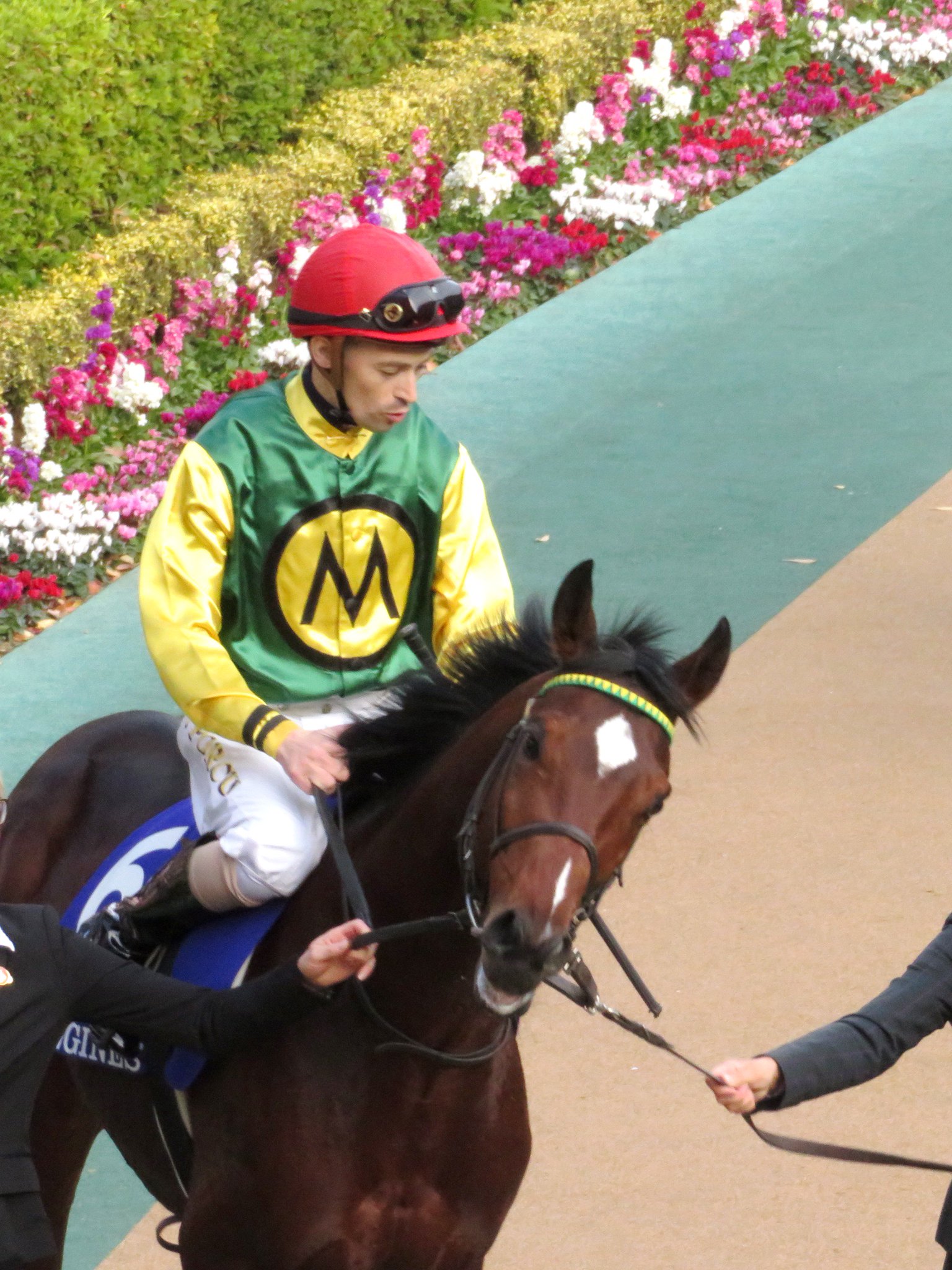 トサミドリ 東京競馬場 東京11r ジャパンカップ イキートス この年の独g1ダルマイヤー大賞を制した同馬 今は亡き鞍上のダニエレ ポルク騎手にもたらしたドイツ移籍後初のg1でした また ポルク騎手はジャパンc騎乗が 子供 トサミドリ 東京競馬場 東京11r ジャパンカップ イキートス この年の独g1ダルマイヤー大賞を制した同馬 今は亡き鞍上のダニエレ ポルク騎手にもたらしたドイツ移籍後初のg1でした また ポルク騎手はジャパンc騎乗が 子供