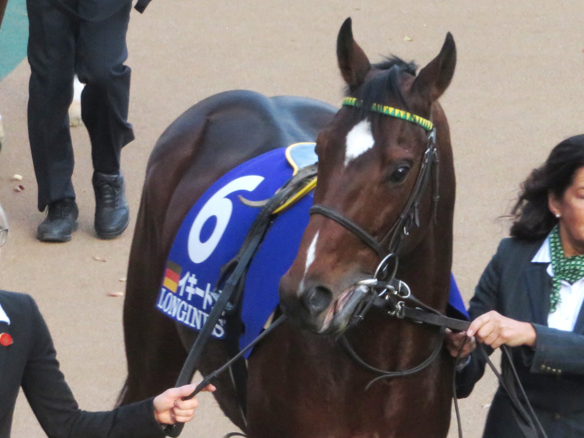 トサミドリ 東京競馬場 東京11r ジャパンカップ イキートス この年の独g1ダルマイヤー大賞を制した同馬 今は亡き鞍上のダニエレ ポルク騎手にもたらしたドイツ移籍後初のg1でした また ポルク騎手はジャパンc騎乗が 子供の頃からの夢の トサミドリ 東京競馬場 東京11r ジャパンカップ イキートス この年の独g1ダルマイヤー大賞を制した同馬 今は亡き鞍上のダニエレ ポルク騎手にもたらしたドイツ移籍後初のg1でした また ポルク騎手はジャパンc騎乗が 子供の頃からの夢の