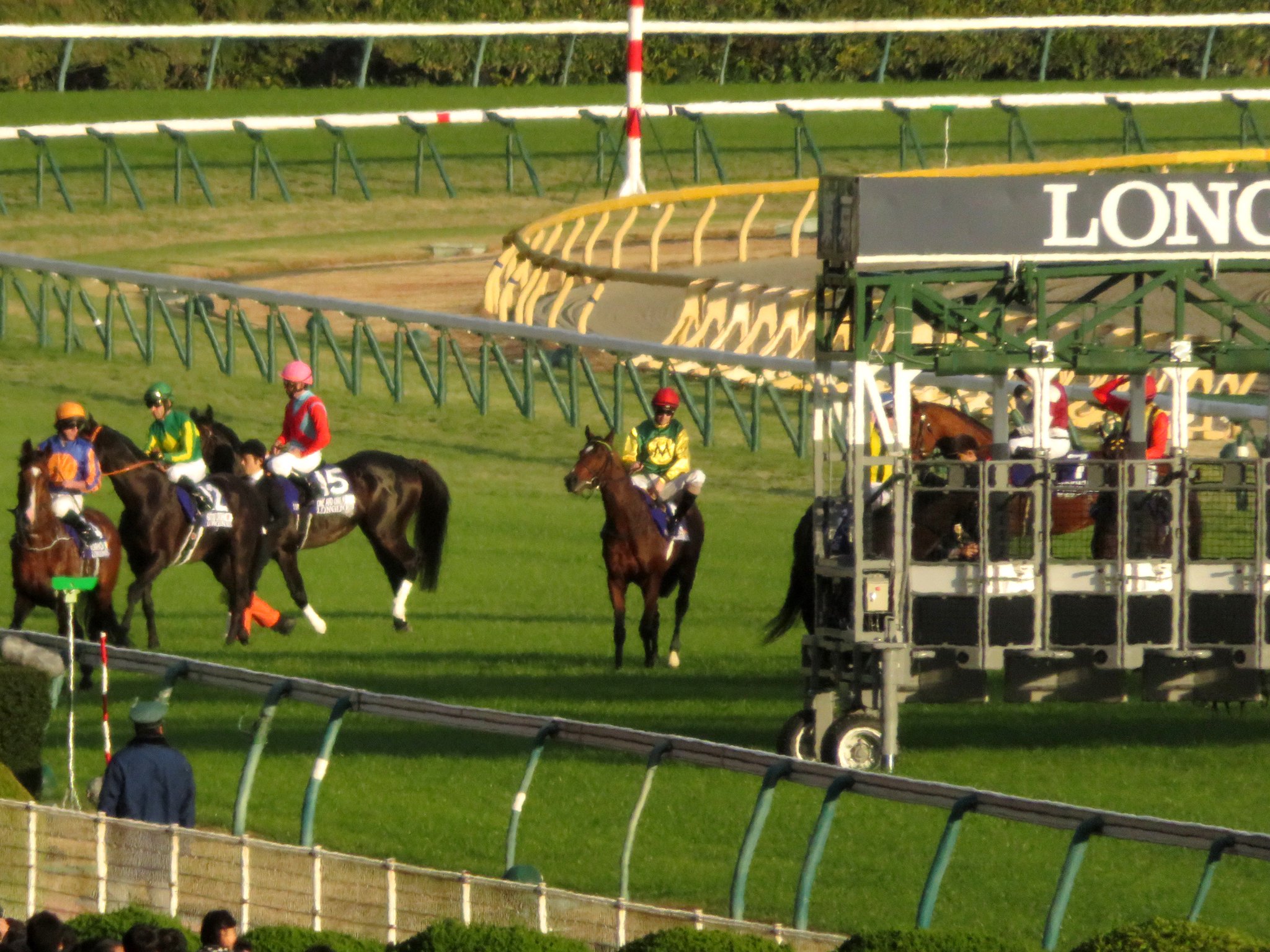 トサミドリ 東京競馬場 東京11r ジャパンカップ イキートス この年の独g1ダルマイヤー大賞を制した同馬 今は亡き鞍上のダニエレ ポルク騎手にもたらしたドイツ移籍後初のg1でした また ポルク騎手はジャパンc騎乗が 子供の頃からの夢の トサミドリ 東京競馬場 東京11r ジャパンカップ イキートス この年の独g1ダルマイヤー大賞を制した同馬 今は亡き鞍上のダニエレ ポルク騎手にもたらしたドイツ移籍後初のg1でした また ポルク騎手はジャパンc騎乗が 子供の頃からの夢の