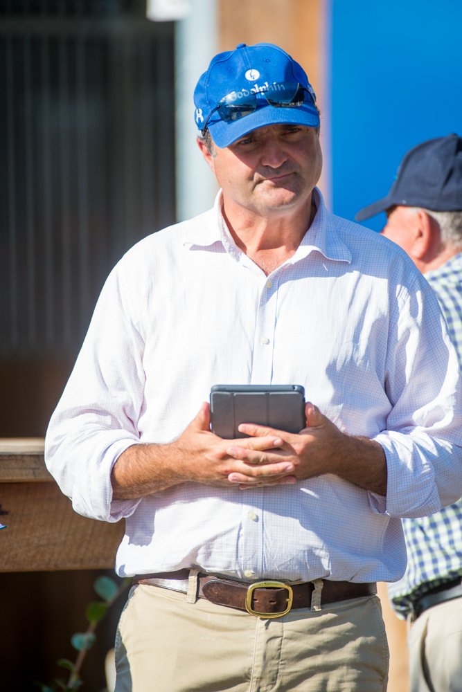 Aushorse_TBA's tweet photo. #Easter18 ... bring it on! Sharon Chapman captures the inspection action from Inglis' Riverside Stables ... /3 https://t.co/WHpqsN3zF9