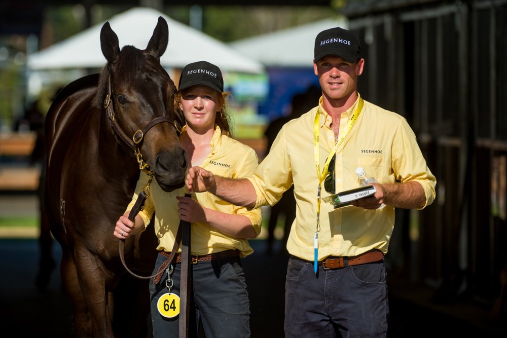 Aushorse_TBA's tweet photo. #Easter18 ... bring it on! Sharon Chapman captures the inspection action from Inglis' Riverside Stables ... /4 https://t.co/DCDRuNzQbj