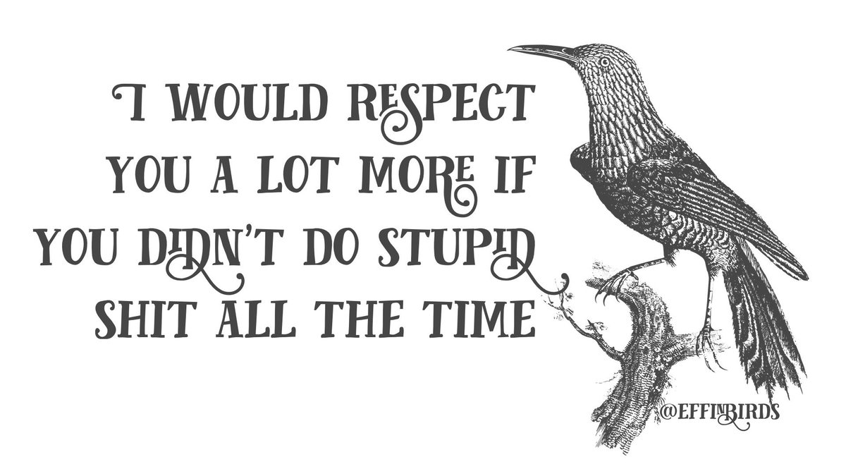 EffinBirds's tweet photo. https://t.co/dpVrE06b3z