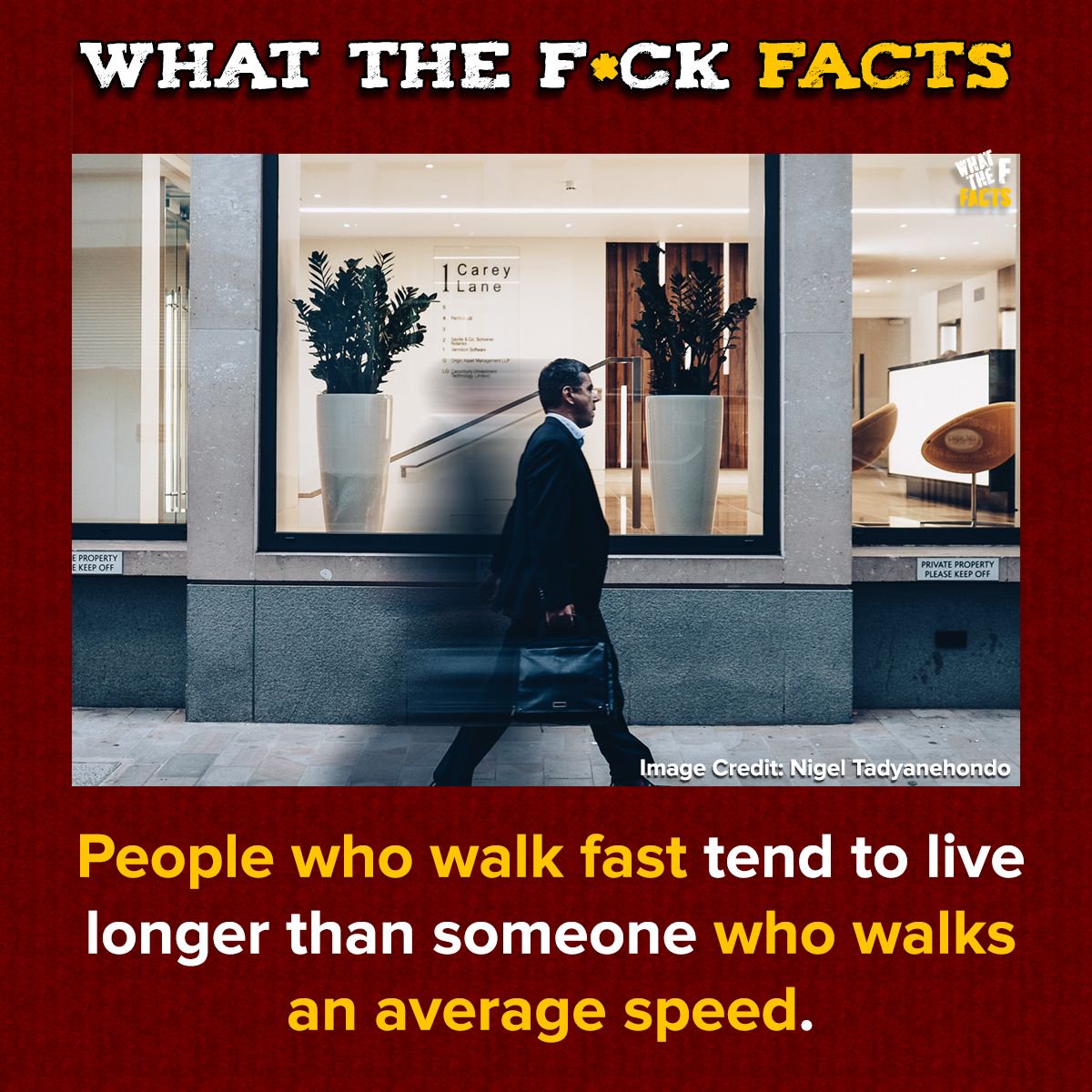 WhatTheFFacts's tweet photo. https://t.co/7KWE3xGyAt