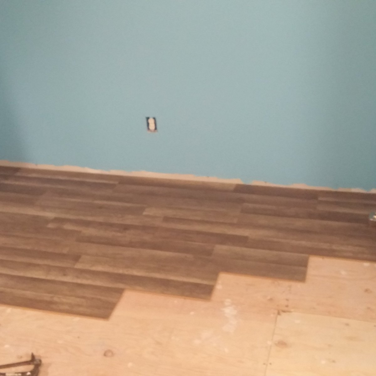 pepper_andre's tweet image. New room, new floor