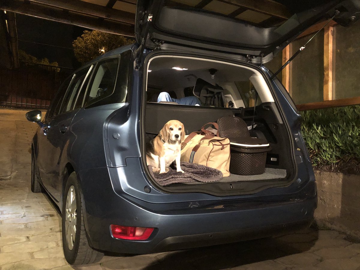 Beaglechile's tweet photo. Viajando en «Clase Turista»
😂😂 https://t.co/u3sSakn89v