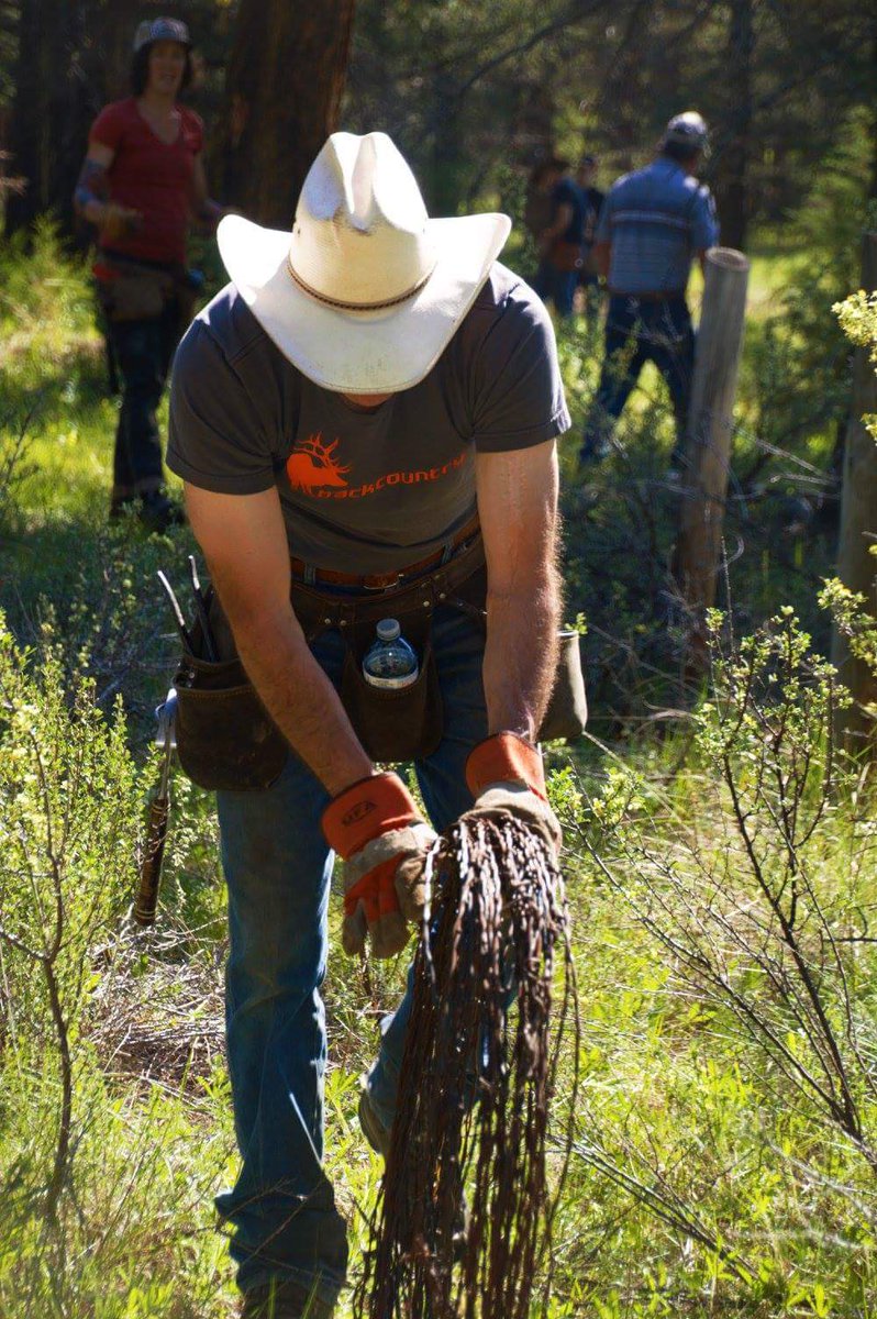 BCBackcountryHA's tweet photo. Our annual conservation project on Sheep Mountain Property is set for May 12 at 9am. Come on out and help, lunch is on us! #conservation #BCBHA #BHA https://t.co/zAc6ROqiPW