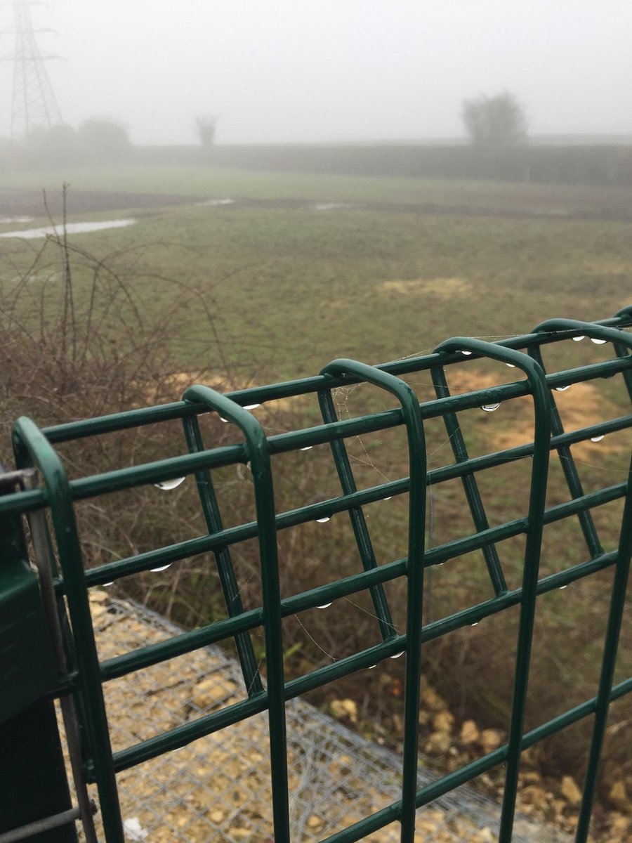 BakeronBusiness's tweet photo. I just love those misty winter mornings. But not in Spring. #kindlysodoff https://t.co/O6N4bDhSSn