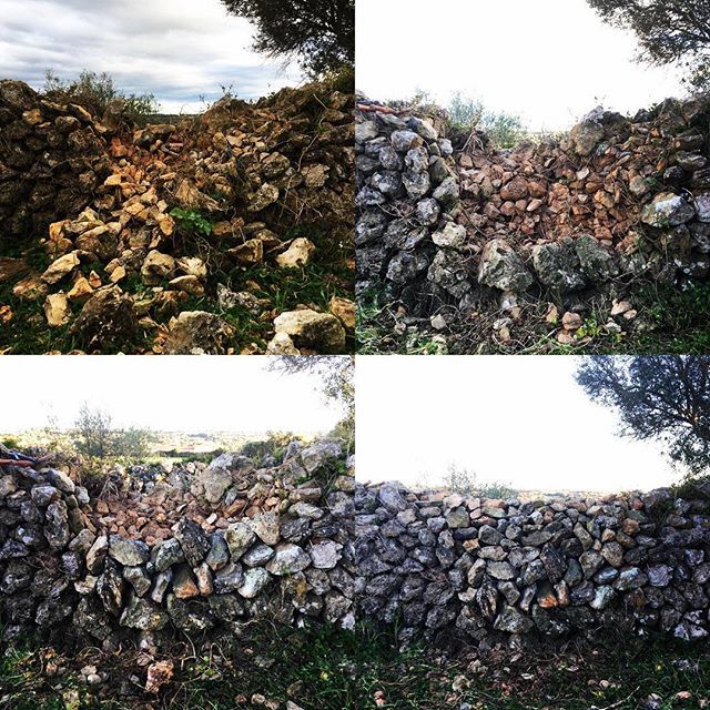 LlumenaNou's tweet photo. Aixecant “endarrosais” de paret seca 💪🏻 #llumenanou #arquitectura #arquitecturarural #architecture #igersmenorca #rural #igersmenorca_nature #menorcaexiste #menorcaexisteix #formatgedemenorca #formatgeartesà #menorca #alaior @llumenanou https://t.co/W4Rb9edNly https://t.co/gcVnPqLTmQ