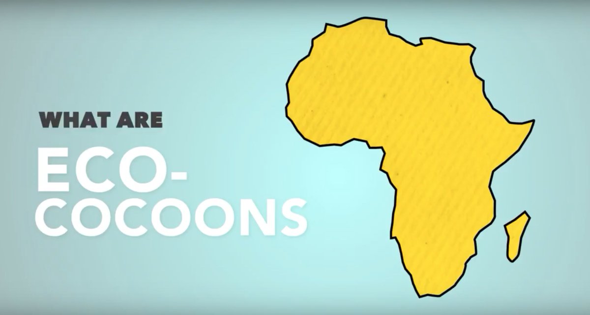 Code4Africa's tweet photo. NEW INVESTIGATION: Are rich foreigners + politicos disguising #LandGrabs as anti-poaching measures on the @KrugerNational border? 

@Oxpeckers investigates, w/ support from @AfricanDRONEorg + @pulitzercenter + @Code4Africa

Full Story: https://t.co/NTvKLvs9JG #dominion https://t.co/DOo9J8tZ6o