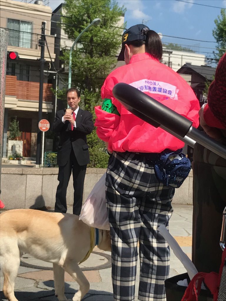 hatoyamataro's tweet photo. ②お散歩時の防犯活動・地域の安心安全・お散歩マナーの向上を目的としたイベントで、警察の方々にもご協力いただきながら、沢山のかわいいワンちゃん、飼い主様たちと歩かせていただきました。
＃文京動物愛護協会
＃文京区
＃播磨坂
＃愛犬家
＃ワンワンパレード https://t.co/BF0zITbZ1e