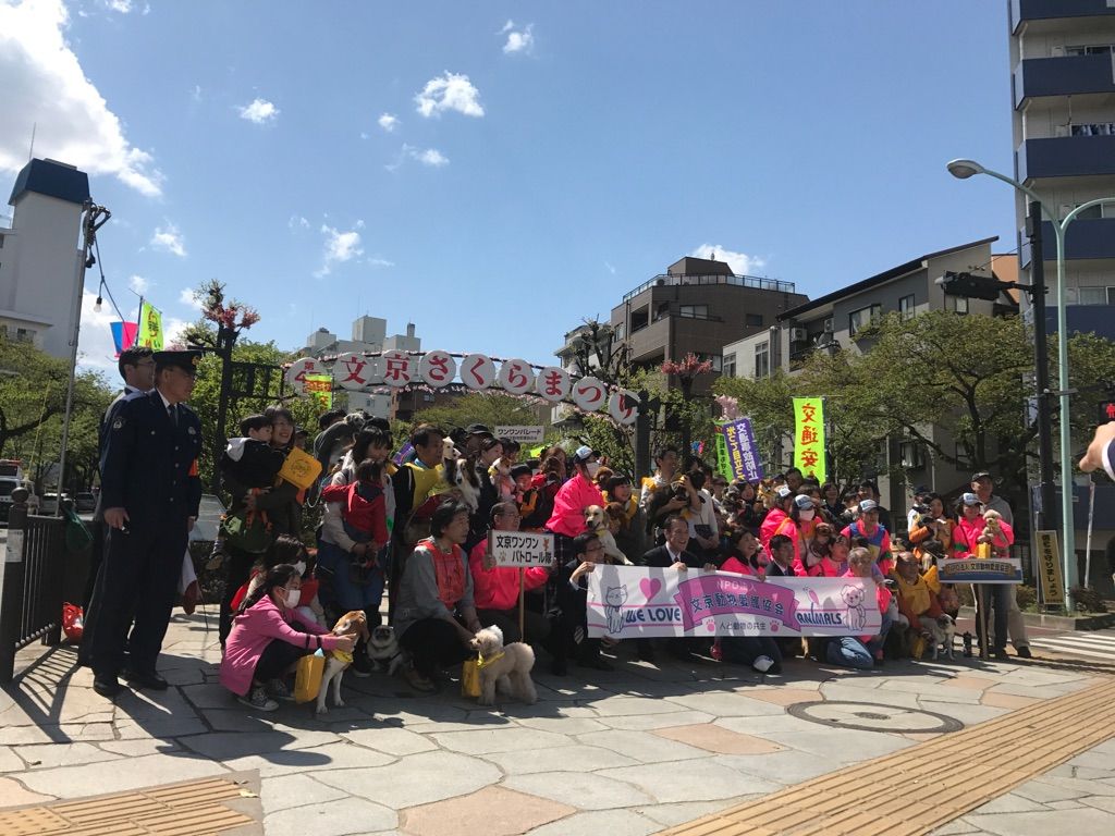 hatoyamataro's tweet photo. ②お散歩時の防犯活動・地域の安心安全・お散歩マナーの向上を目的としたイベントで、警察の方々にもご協力いただきながら、沢山のかわいいワンちゃん、飼い主様たちと歩かせていただきました。
＃文京動物愛護協会
＃文京区
＃播磨坂
＃愛犬家
＃ワンワンパレード https://t.co/BF0zITbZ1e