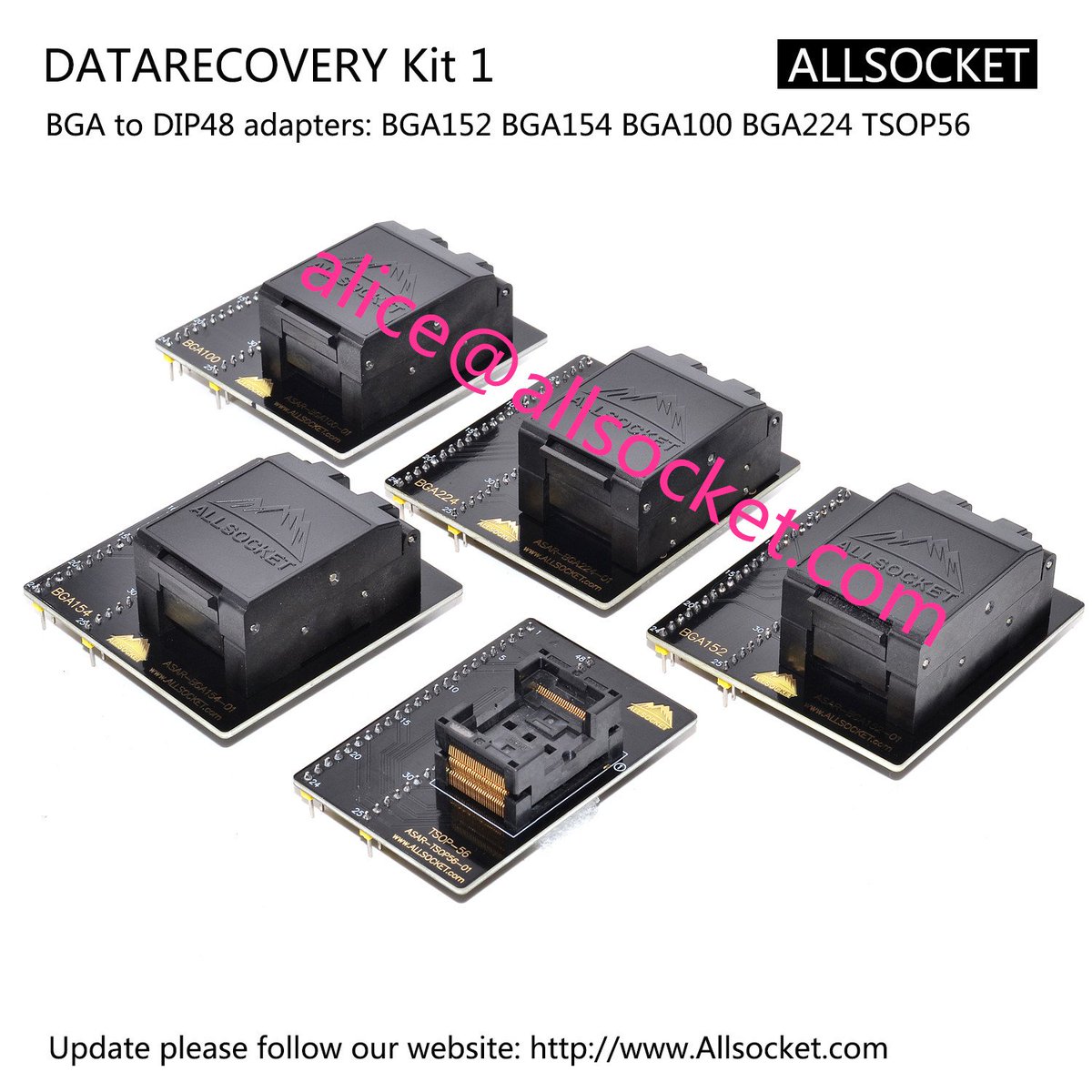 DiannAllsocket tweet picture