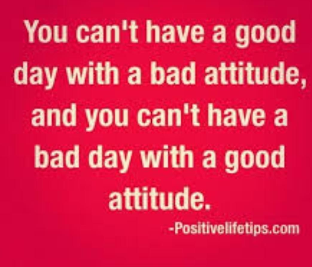 MJB Graham (@mjbgconsultancy) on Twitter photo 