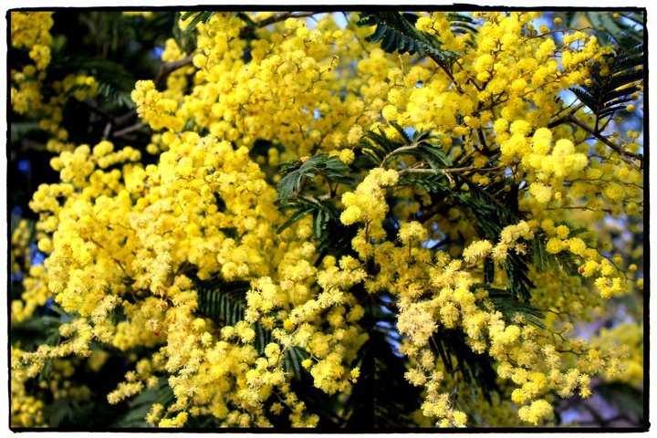 Postcard from………Melbourne atasteoftravelblog.com/postcard-from-…