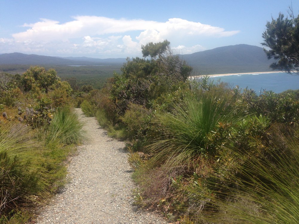 BushwalkingNSW tweet picture