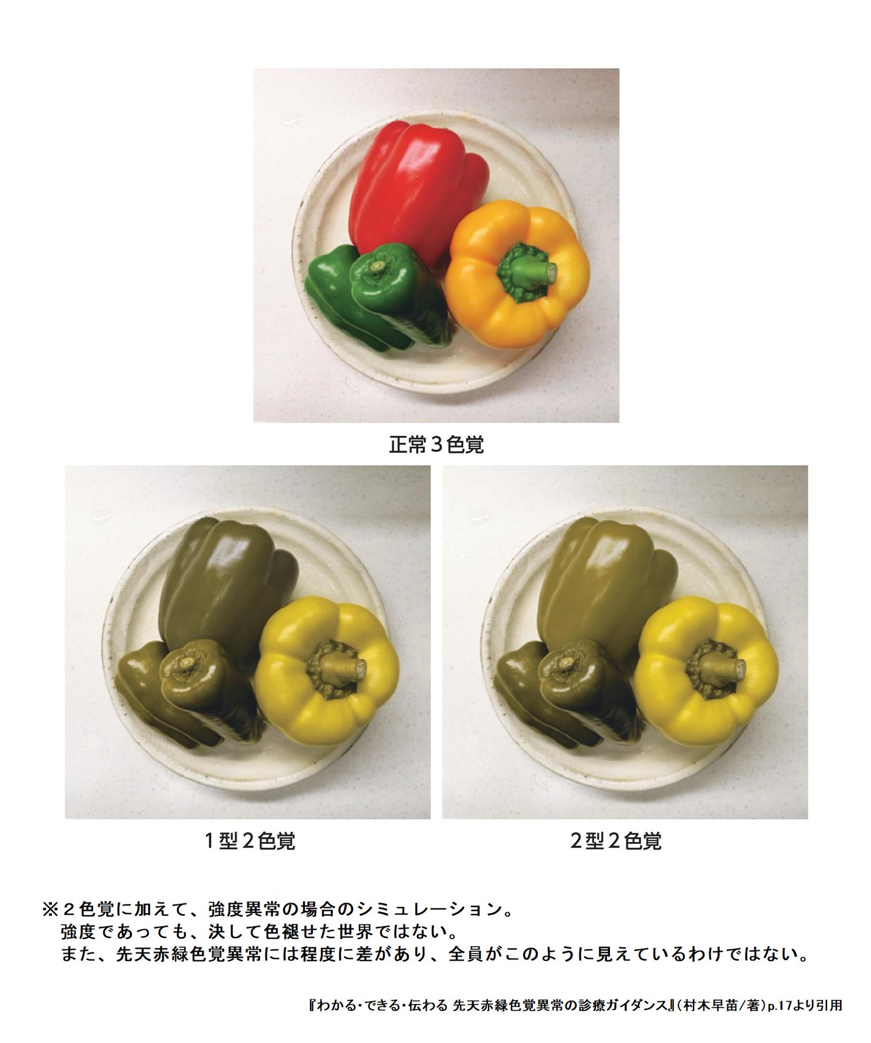 先天赤緑色覚異常の診療ガイダンス / 村木早苗 - 紀伊國屋書店