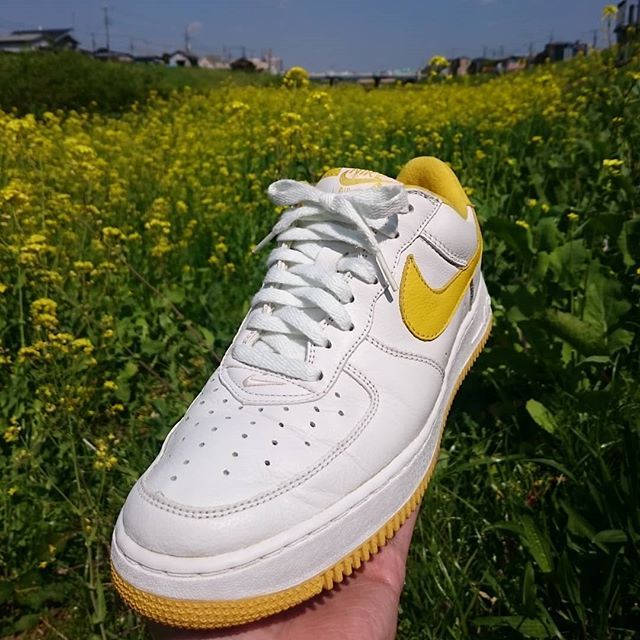 yusukeairforce's tweet photo. '98 AIR FORCE 1 LOW
Yellow blossoms🌻
#nikeairforce1 #af1 #airforce1 #af1gallery #airforce1daily #airforce1cartel #teamaf1 #エアフォース1 #エアフォース #エアフォースワン #sneakerleaders #sneakerwars #sneaker4life #sneakerbox #テック推進委員会 https://t.co/0gF8Vq6AF6 https://t.co/XdXCOyuuiL