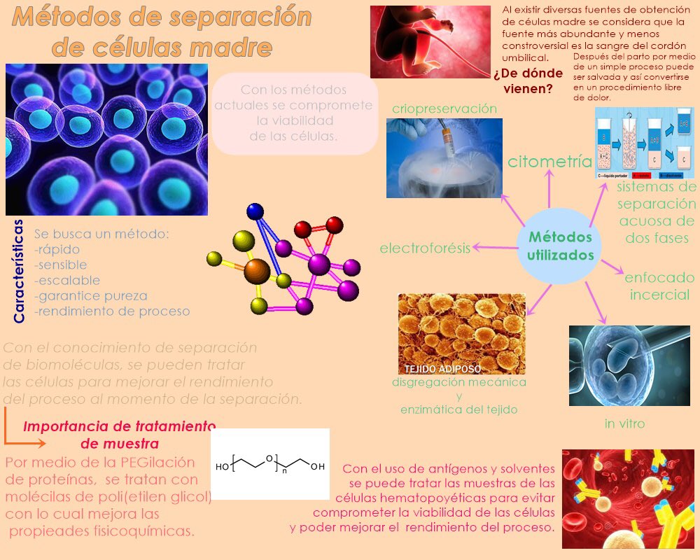 mariana_cab's tweet photo. #MI2018AP2
Mariana Sofía Caballero Peña https://t.co/hXG23nSnbR