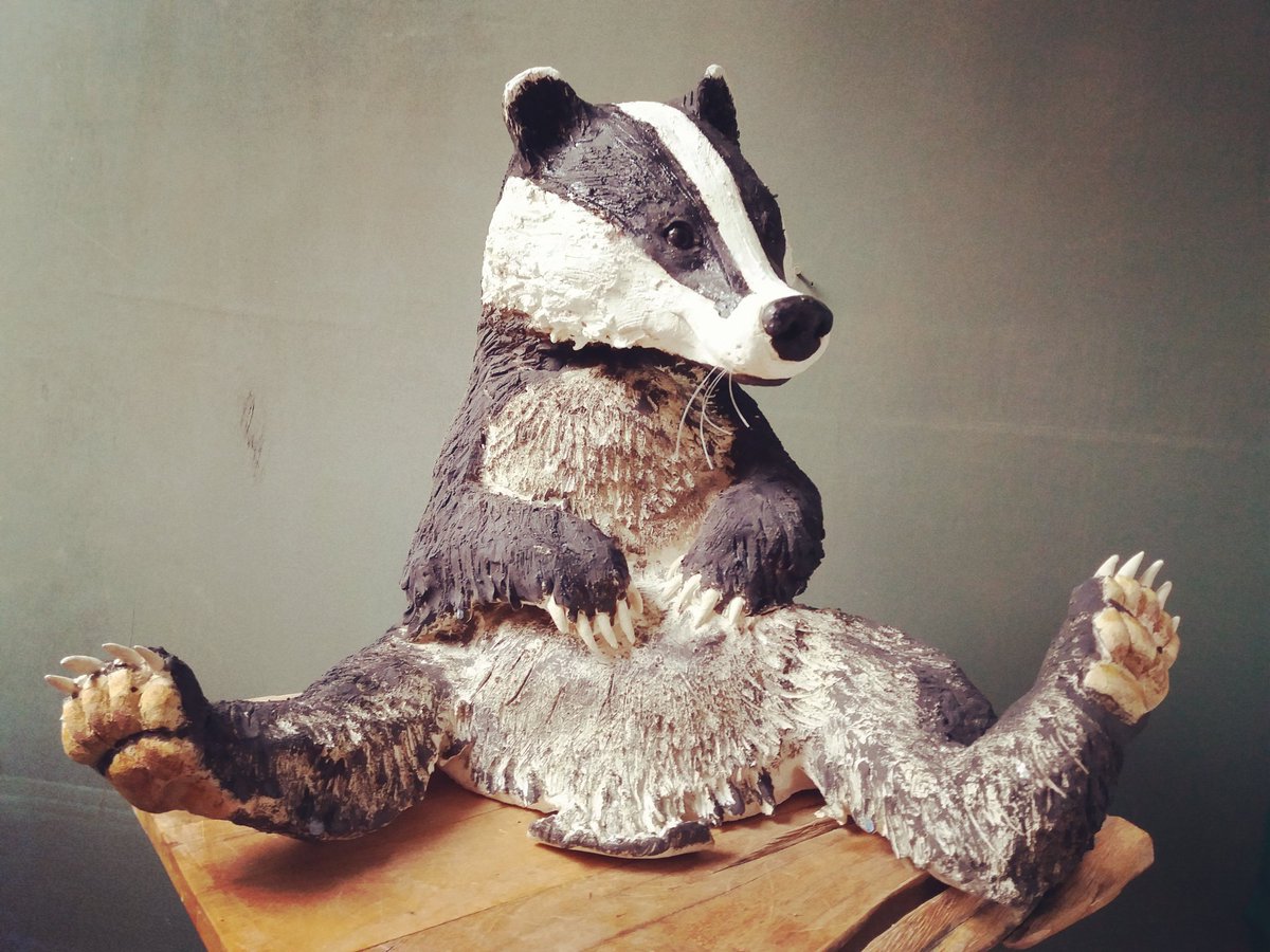 EarthTwisted's tweet photo. @RevRichardColes What a beauty! I loved that badger pose so much, I recently made a #ceramicsculpture of a (almost full size) sitting #badger in my #studio.  @EarthTwisted in #Yorkshire 😊 #badgertrust #britishwildlife #yorkshireartist #animalsculptures #creativeyorkshire #Ilovebadgers https://t.co/IJqDanmaXN