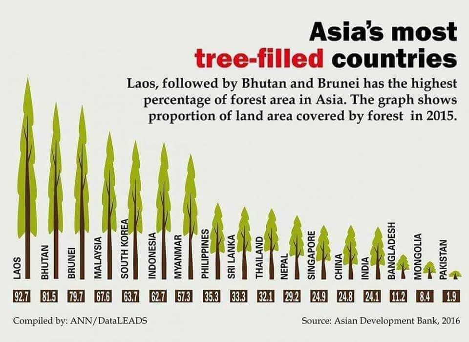 Much trees перевод. Agriculture tree. 100% дерево. Save our planet. Tree of quotes.