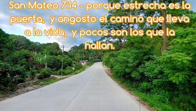 CeKriSo's tweet image. #Mateo7:14 #SantaBiblia #PalabraDeDIOS #VersiculoBiblico #Bendiciones de JESUCRISTO. 📖