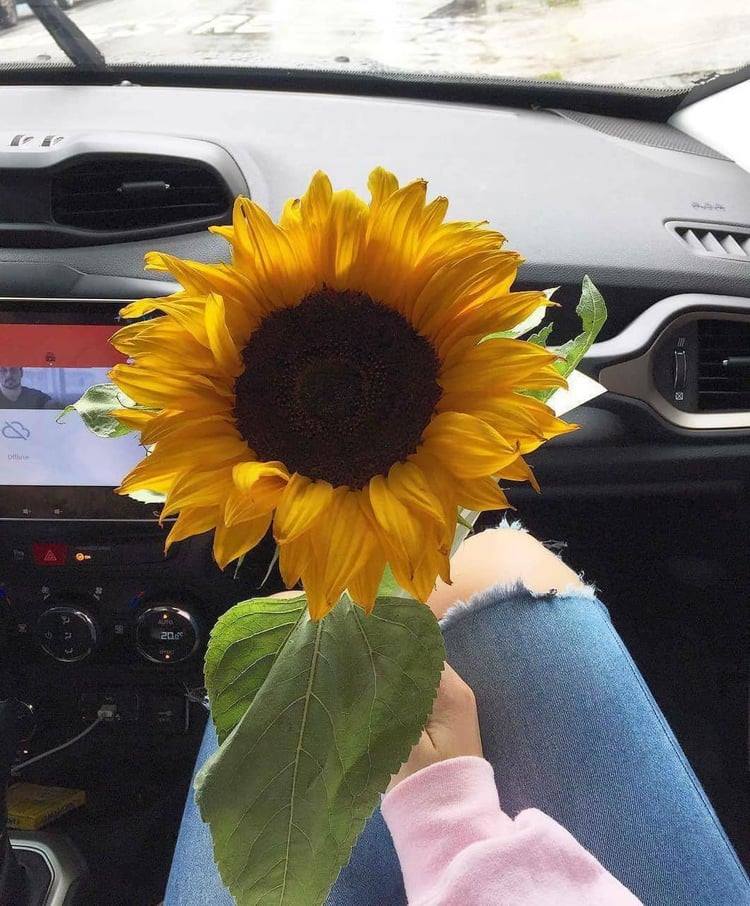 Амьдрал гэдэг хамтын аз жаргал, бусдадаа аз жаргалыг түгээх тусам илүү аз жаргалтай..
CROWN SERVICE-н хамт олон бид жолооч та бүхэндээ аз жаргал бэлэглэхийн тулд  үйлчилж байгаа билээ.
Шинэ төвийн хаяг: Баянзүрх дүүргийн авто оношлогооны төвийн хойно KYB AUTO CENTER
#kybmongolia