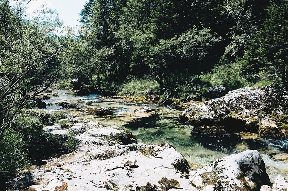 _mysweetescape_'s tweet photo. Road-trip en Slovénie, au coeur du Triglav (&amp; randonnée des gorges de la Mostnica ❤❤)

https://t.co/LIiNjX4kUh

#bohinj #mostnica #slovenie https://t.co/NHnGRBt6u1